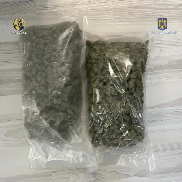 perchezitii traficanti arad1