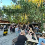 În Arad rockul nu moare niciodată: Next Page, The Young Blood și Second Hand în concert la Terasa Flex din incinta Ștrandului Neptun