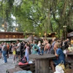 În Arad rockul nu moare niciodată: Next Page, The Young Blood și Second Hand în concert la Terasa Flex din incinta Ștrandului Neptun