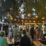 În Arad rockul nu moare niciodată: Next Page, The Young Blood și Second Hand în concert la Terasa Flex din incinta Ștrandului Neptun