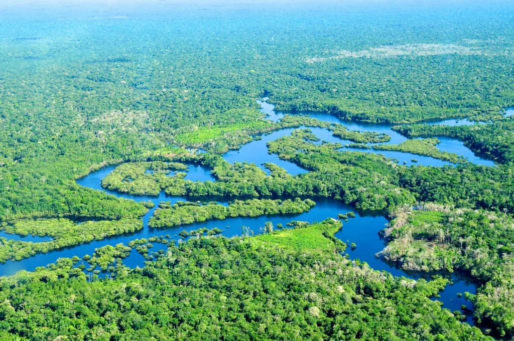 amazon river basin large