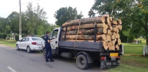 operațiunile cu material lemnos