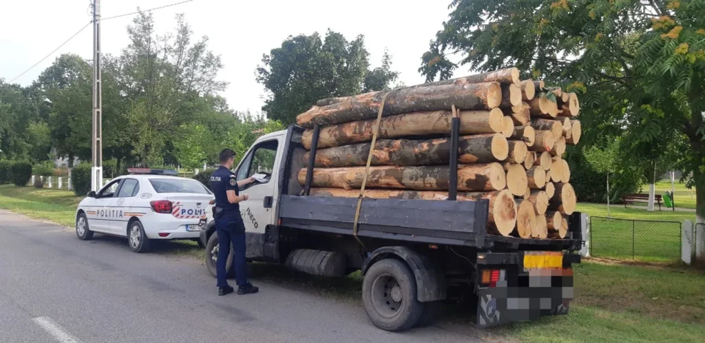 Operațiunile cu material lemnos, verificate de polițiști