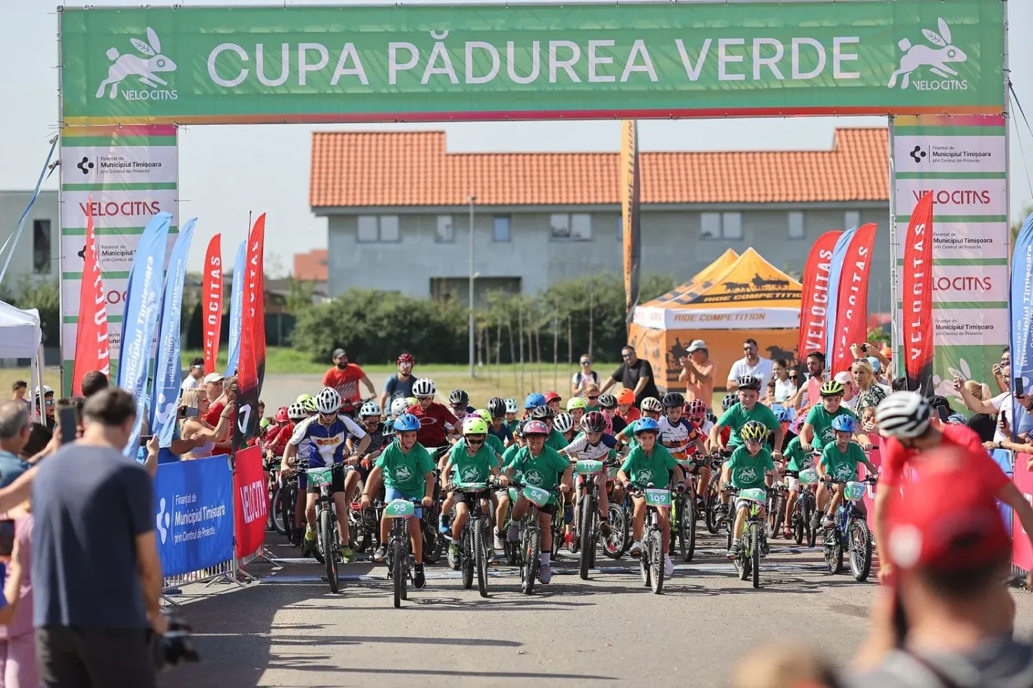 padurea verde