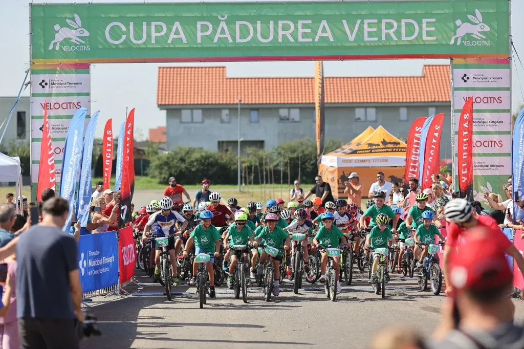 padurea verde