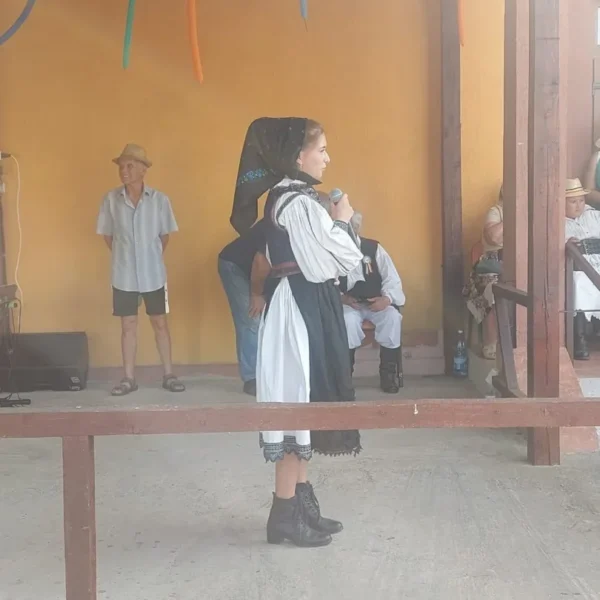 revetis festival 2