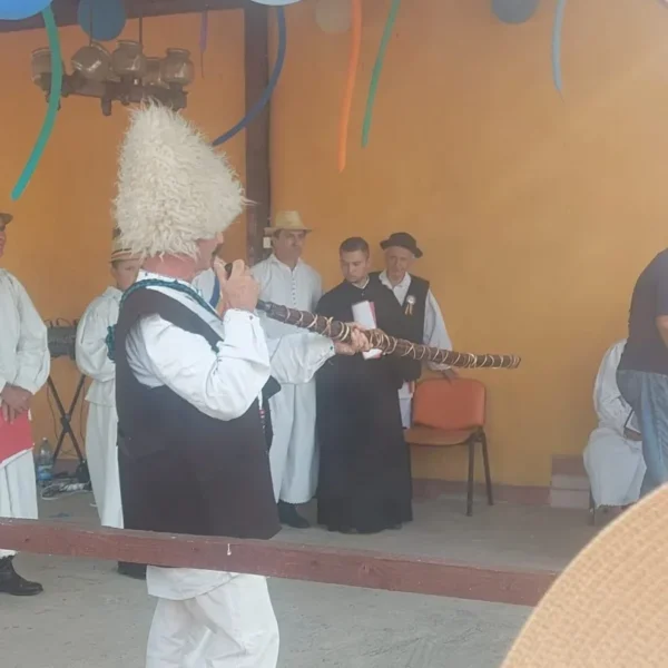 revetis festival 4