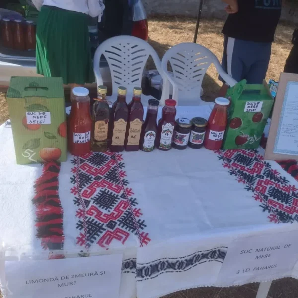 revetis festival 6