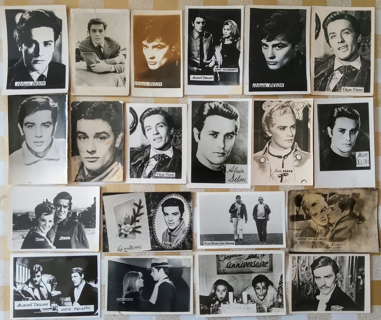 allain delon