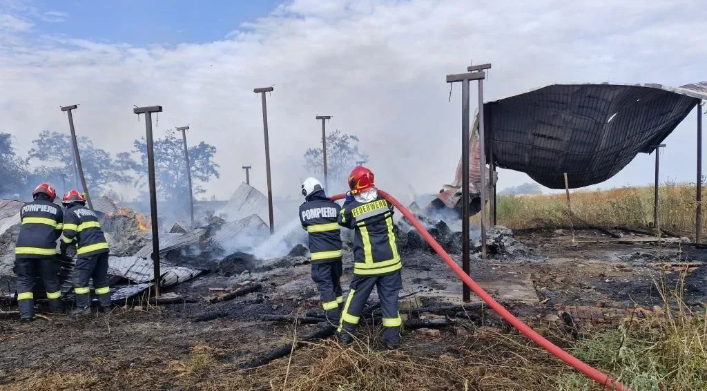 incendiu ferma chisineu cris large