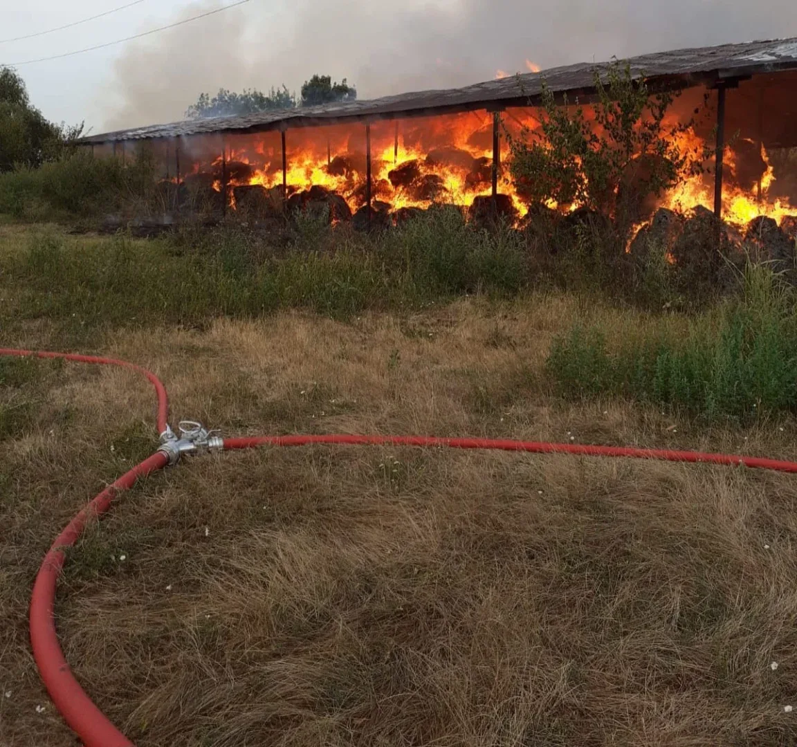 incendiu ferma chisineu cris1