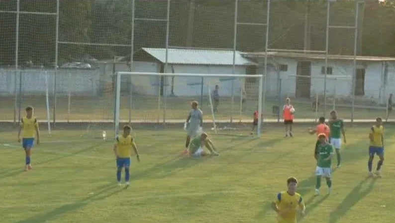 4.pecica peciu nou