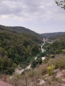 moneasa11