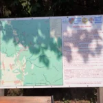 atractii moneasa1