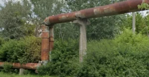 un bărbat în vârstă