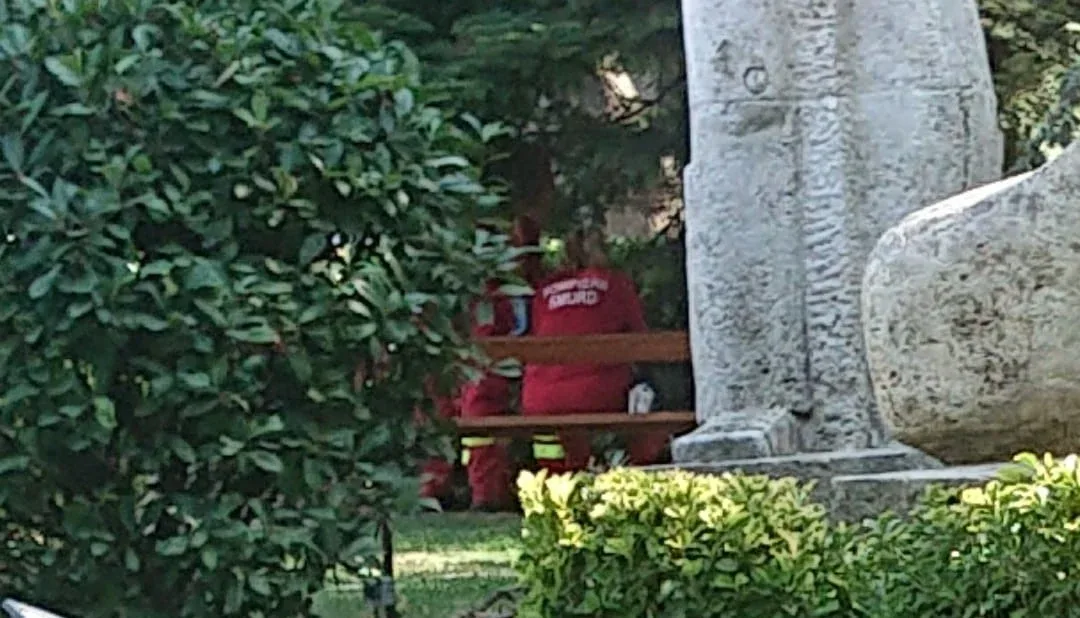decedat parcul bujor buda3