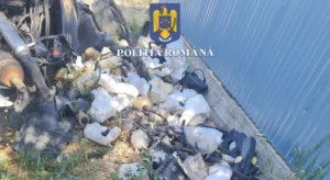 dosar penal în urma controalelor