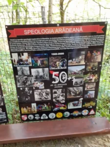 grota ursului moneasa2
