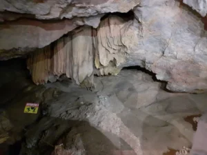 grota ursului moneasa3