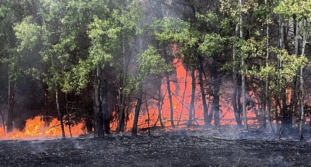 incendiu susani ignesti 1