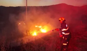în ultimele 24 ore pompierii