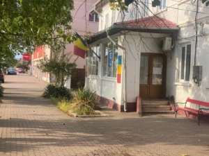 agresorul cu toporul