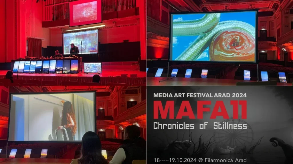 media art festival arad