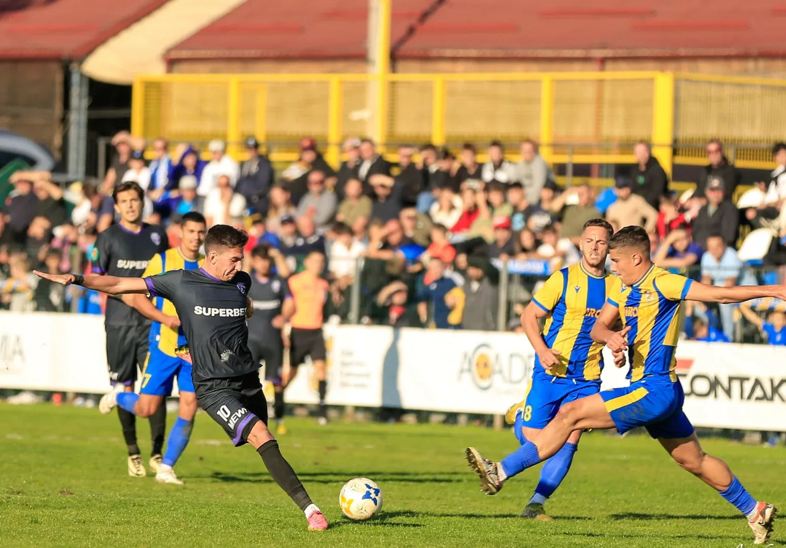 ghiroda poli timisoara