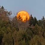 luna plina 17 oct