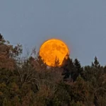 luna plina 17 oct1