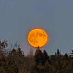 luna plina 17 oct2