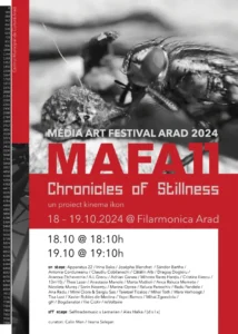 media art festival arad -