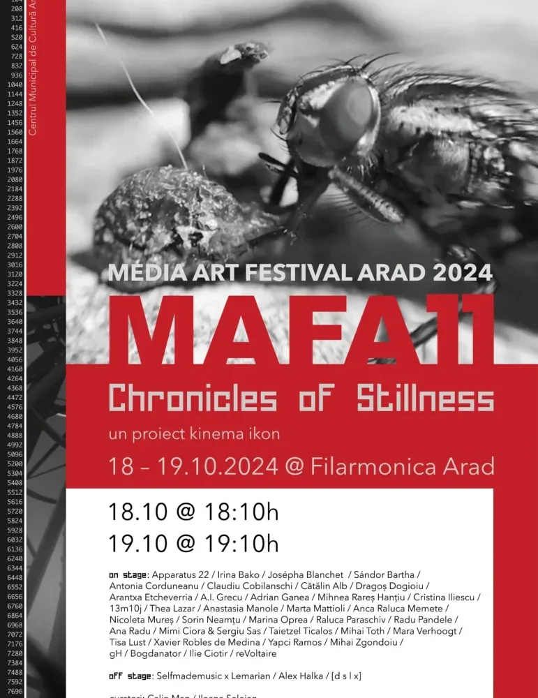 media art festival arad -