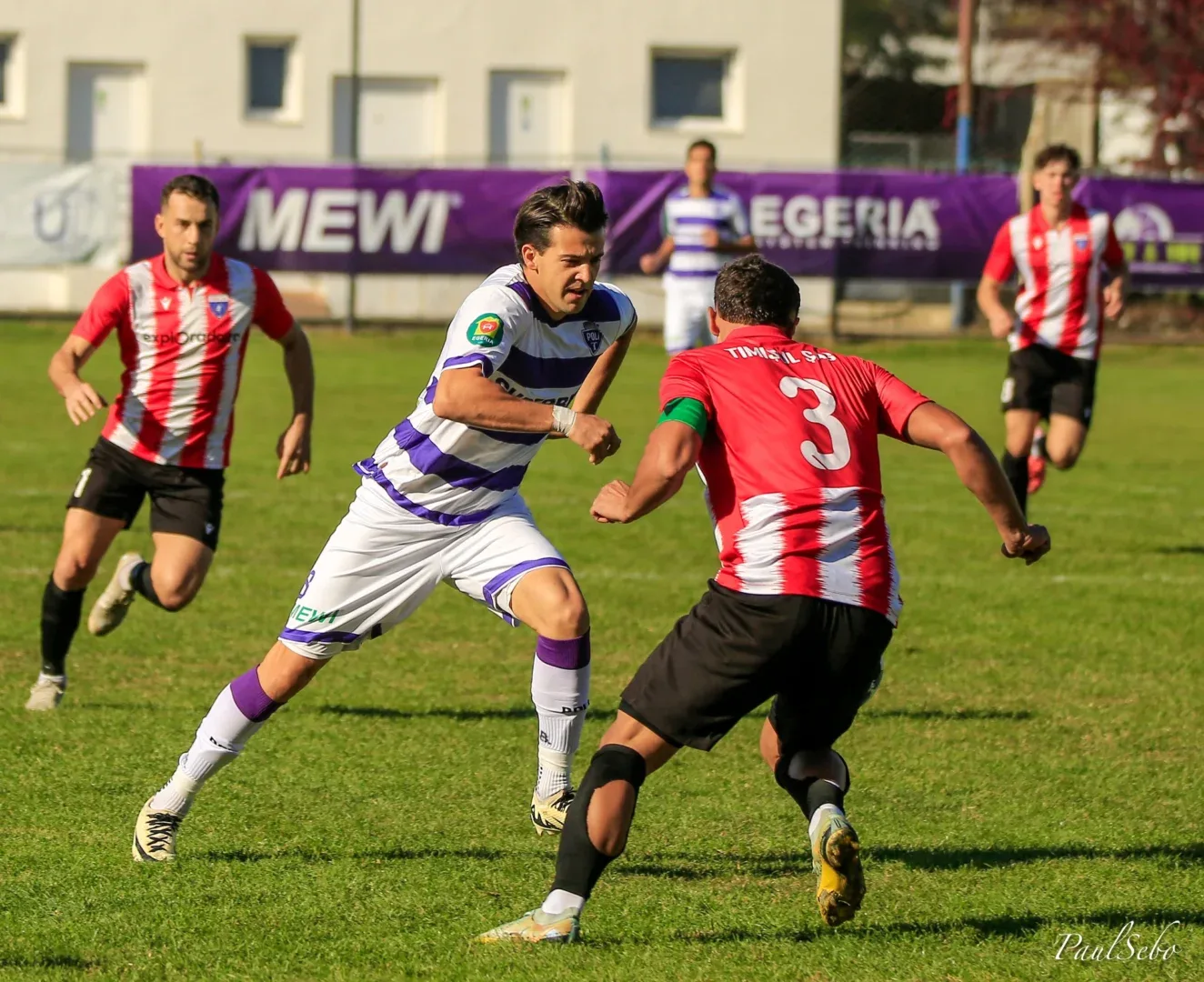 poli timisul sag