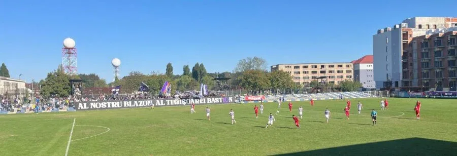 poli viitorul