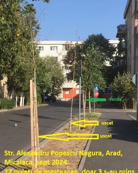 str. alexandru popescu