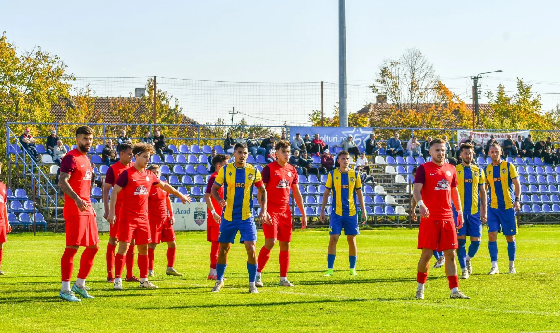 viitorul ghiroda