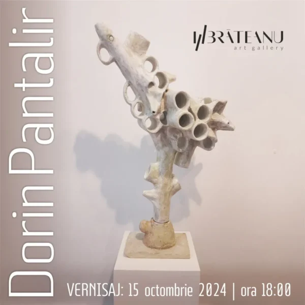 dorin pantalir insta