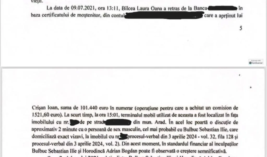 extras referat bani laura