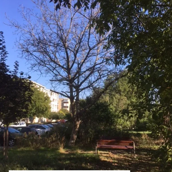str exterioara 12