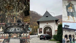 lainici