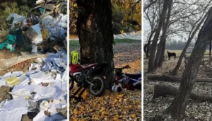 sancțiuni în valoare de 6500