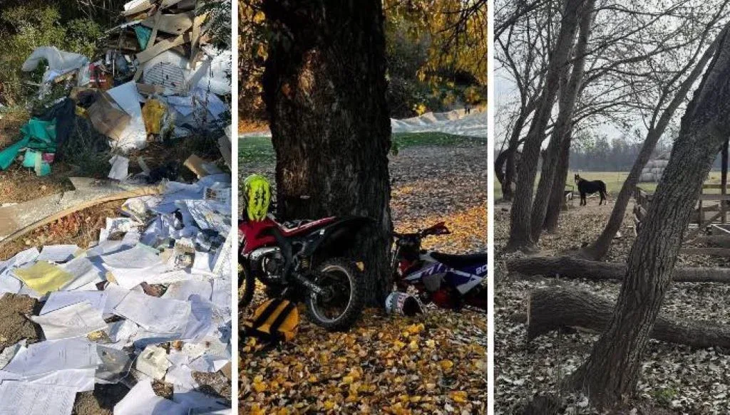 amenzi parcul national lunca muresului