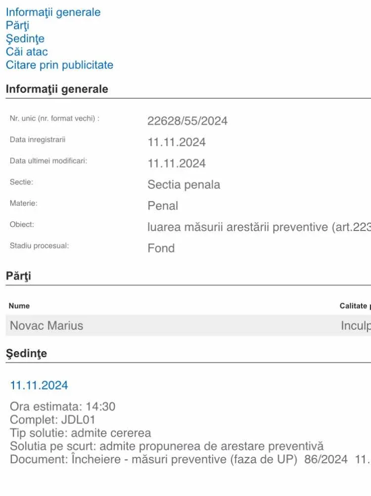 incendiator arad arestat