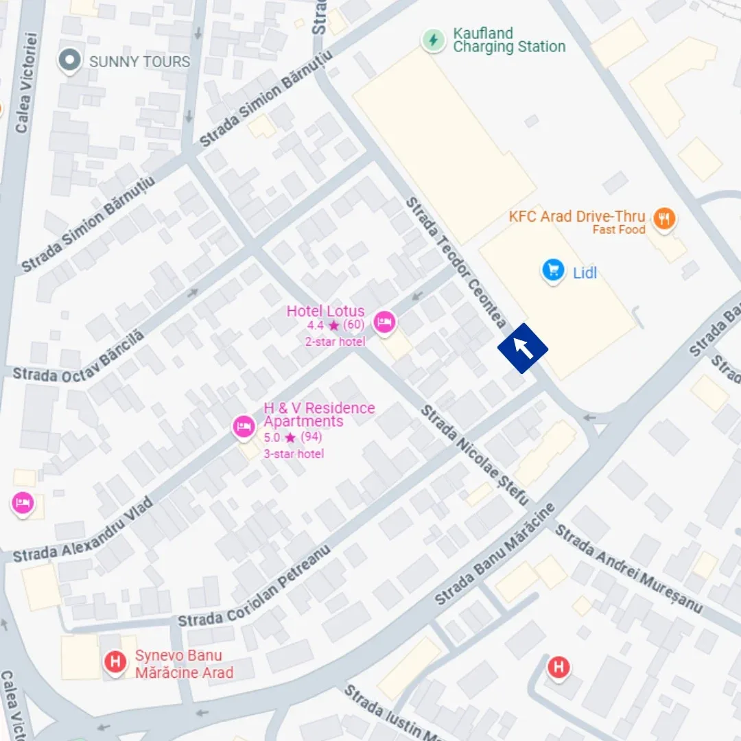 sens unic strada teodor ceontea