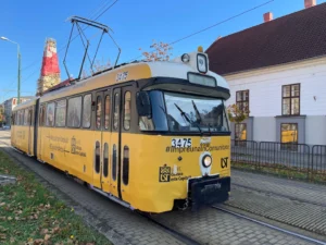 universitatea de vest din timișoara