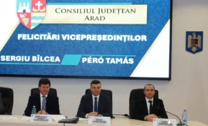 sergiu bîlcea și péro tamás
