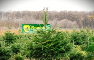 romsilva oferă la vânzare 18.547