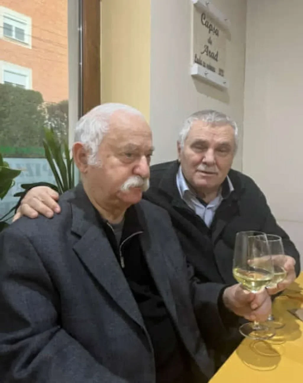 mitroi schwartzjpg e1733826516735