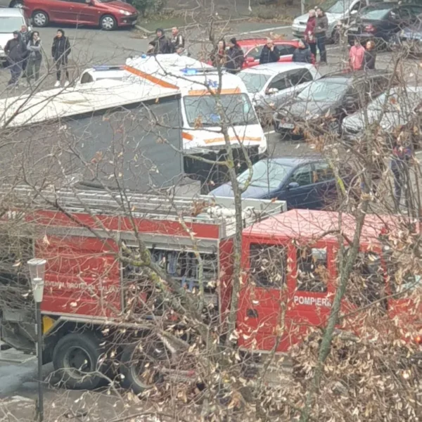 incendiu micalaca 5